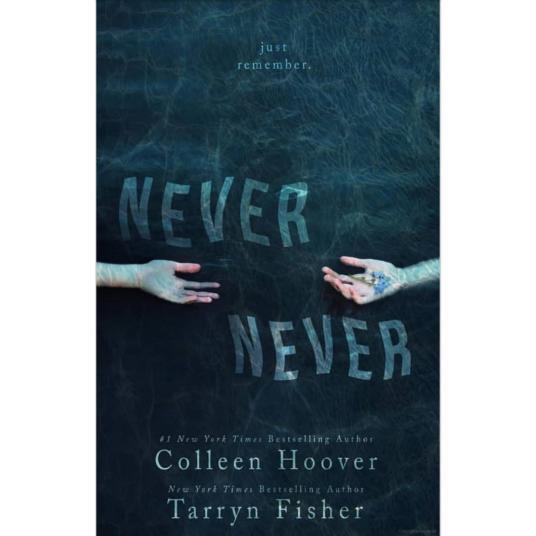Never Never - best-books-us